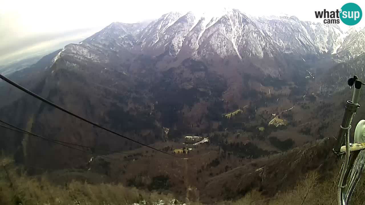 Live Kamera Velika Planina