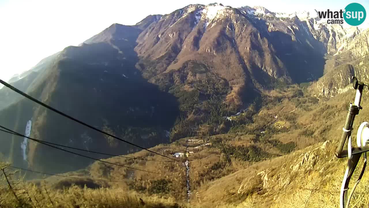 Kamera v živo Velika Planina