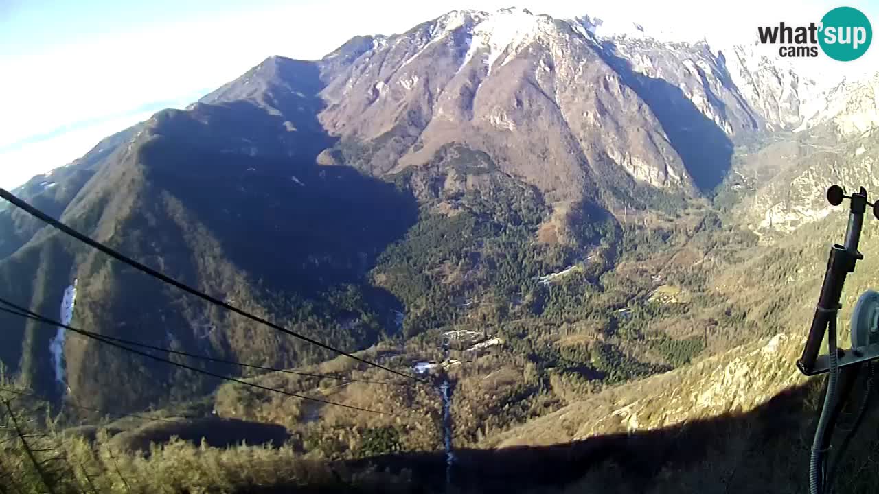 Kamera u Živo Velika Planina