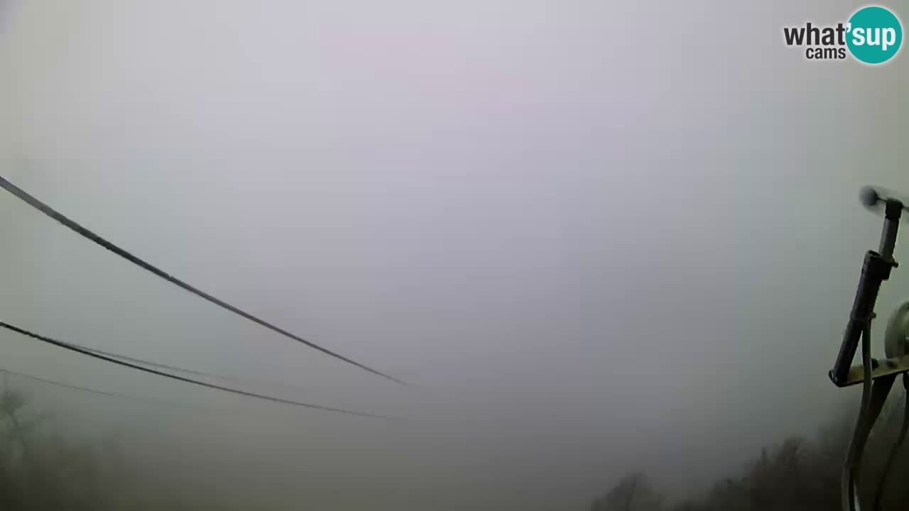 Webcam Live Velika Planina