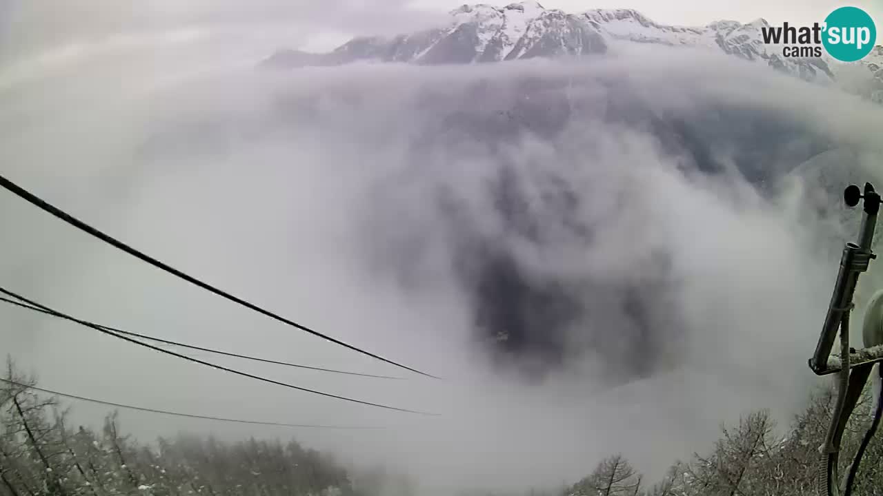 Kamera u Živo Velika Planina