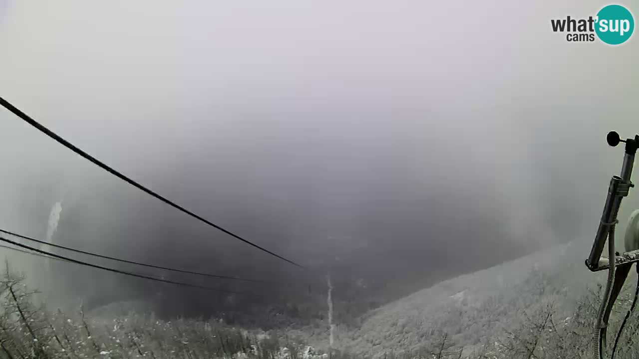 Live Kamera Velika Planina