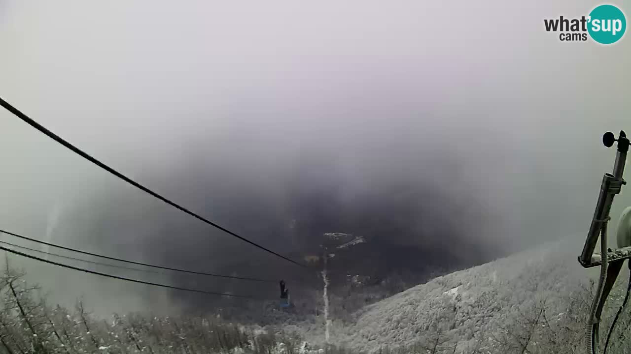 Webcam Live Velika Planina