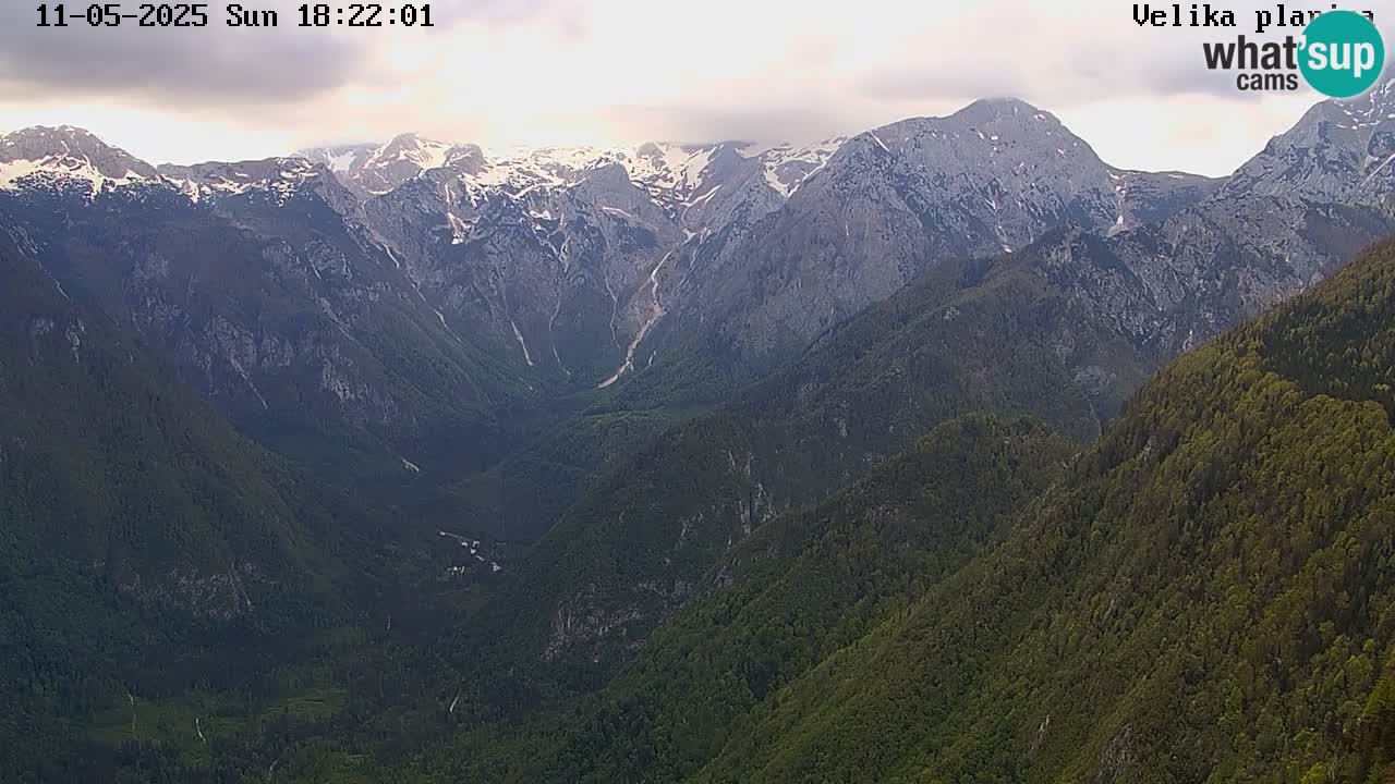 Velika Planina