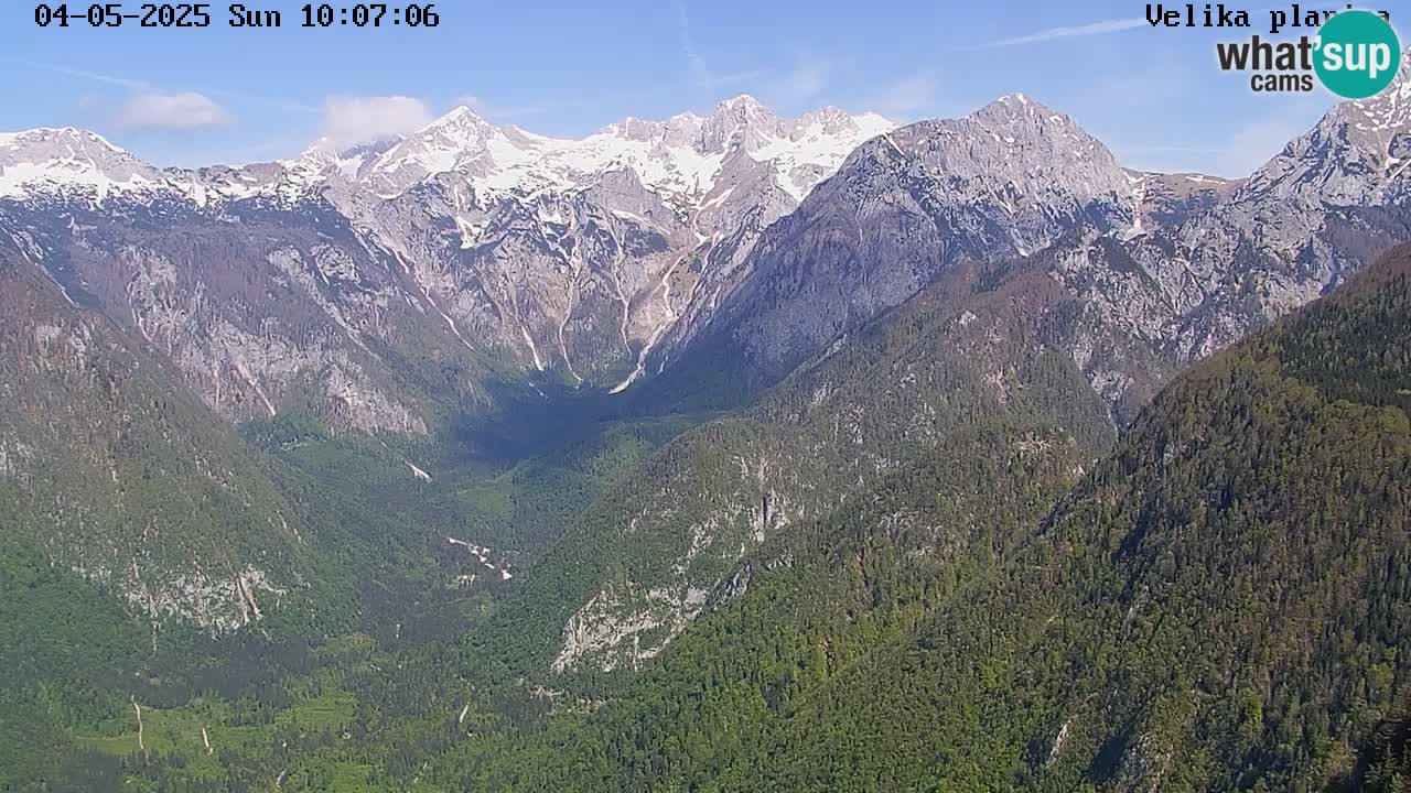 Velika Planina