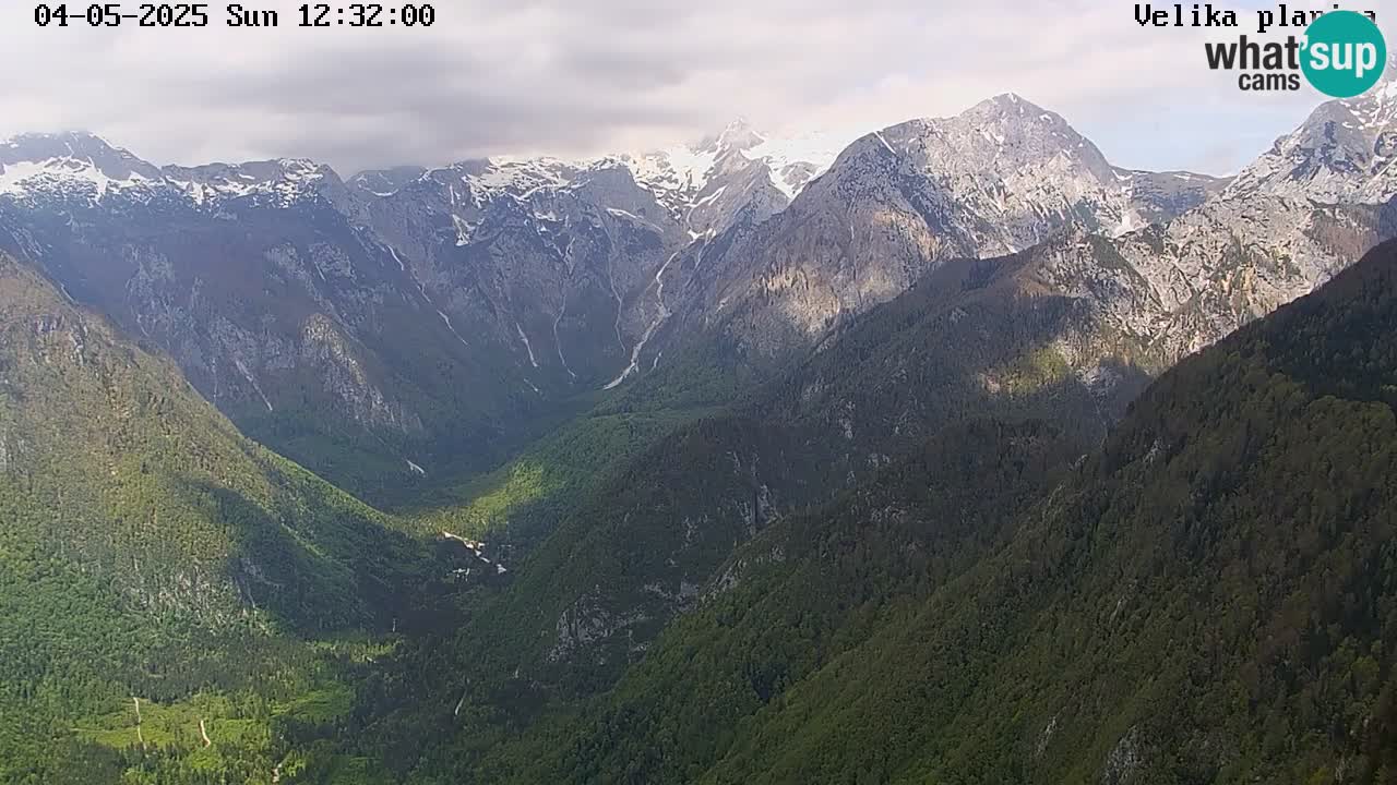 Velika Planina