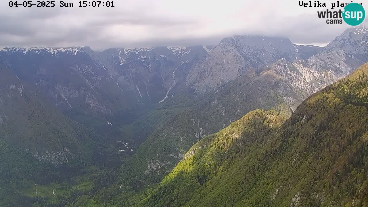 Velika Planina