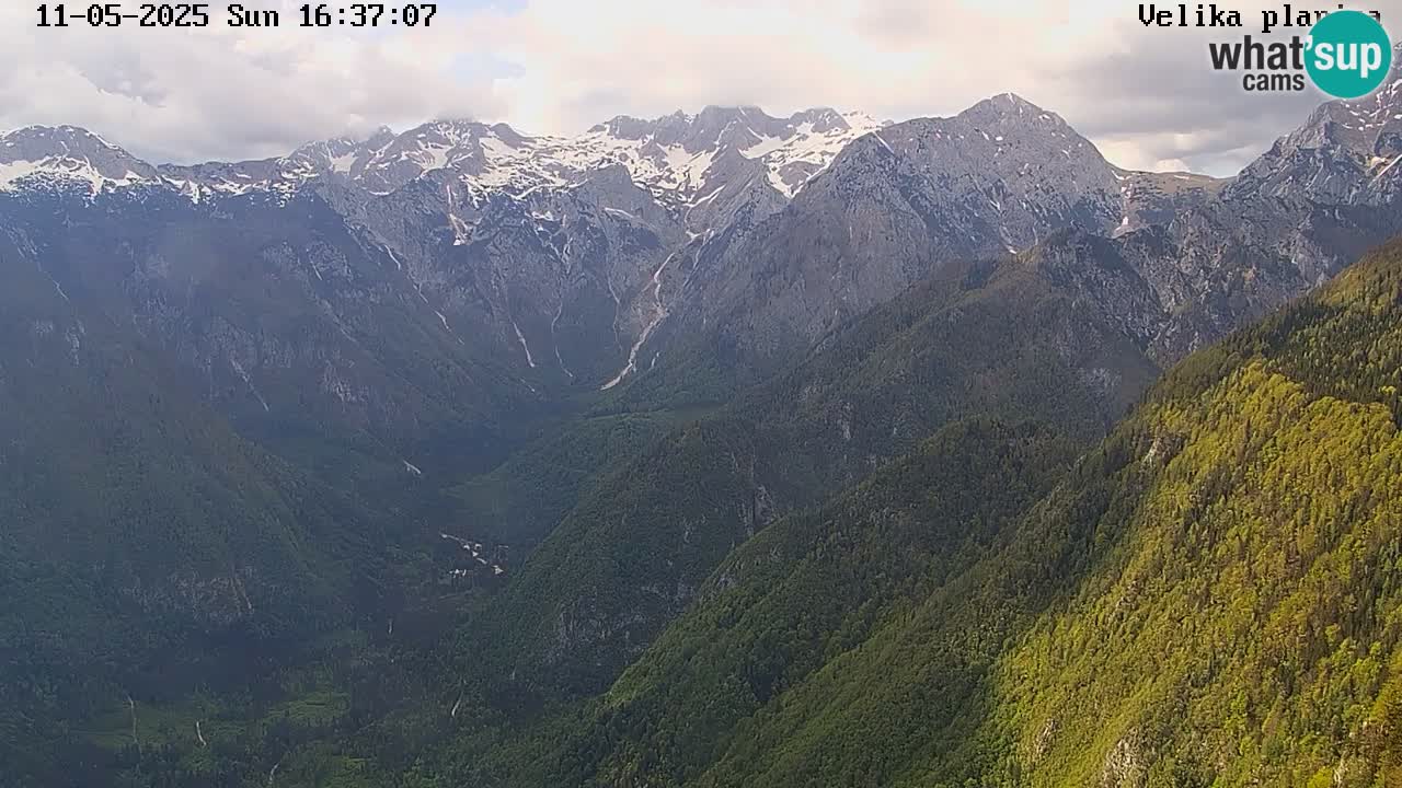 Velika Planina