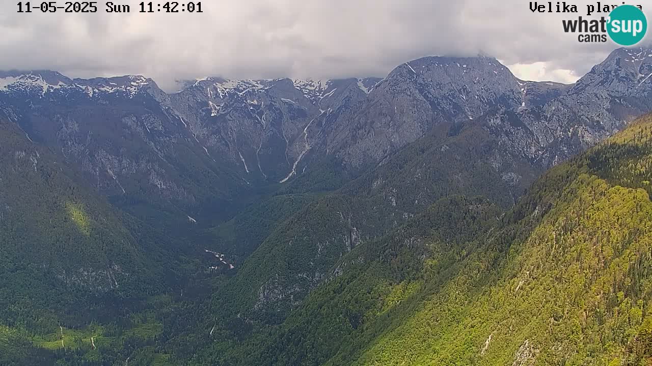 Velika Planina
