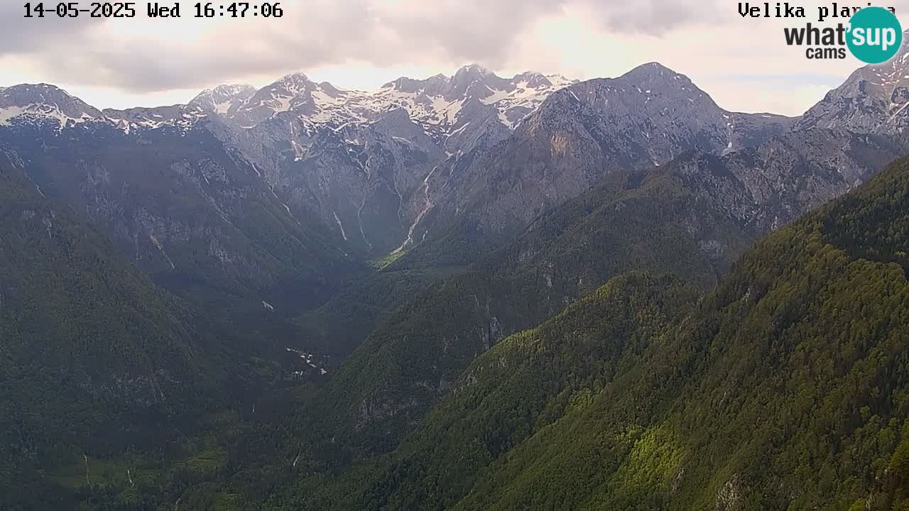 Velika Planina