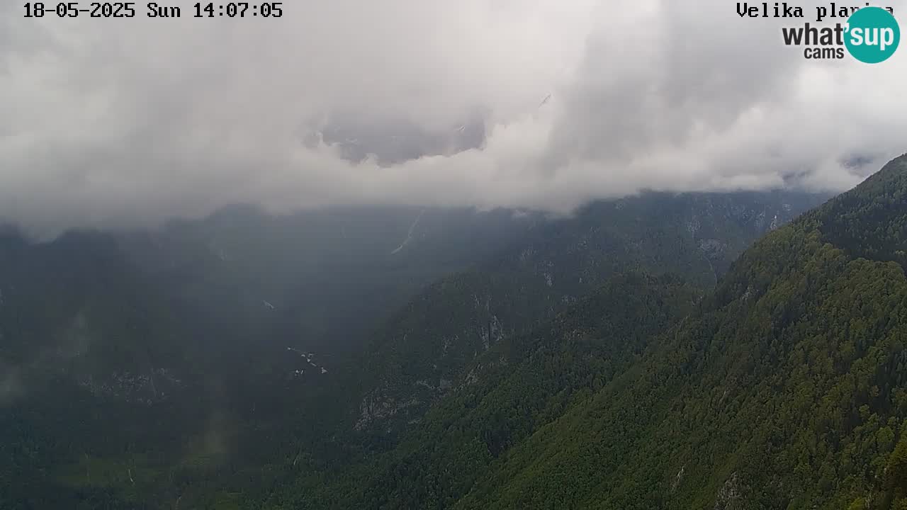 Velika Planina