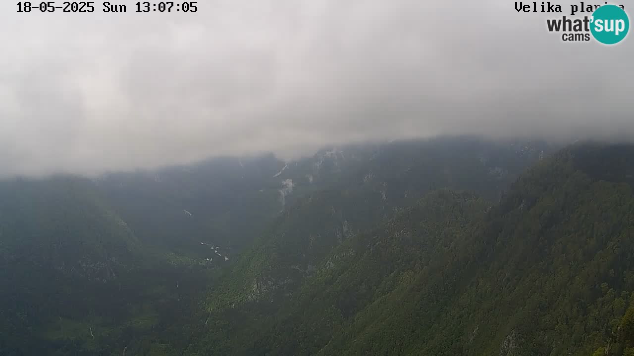 Velika Planina