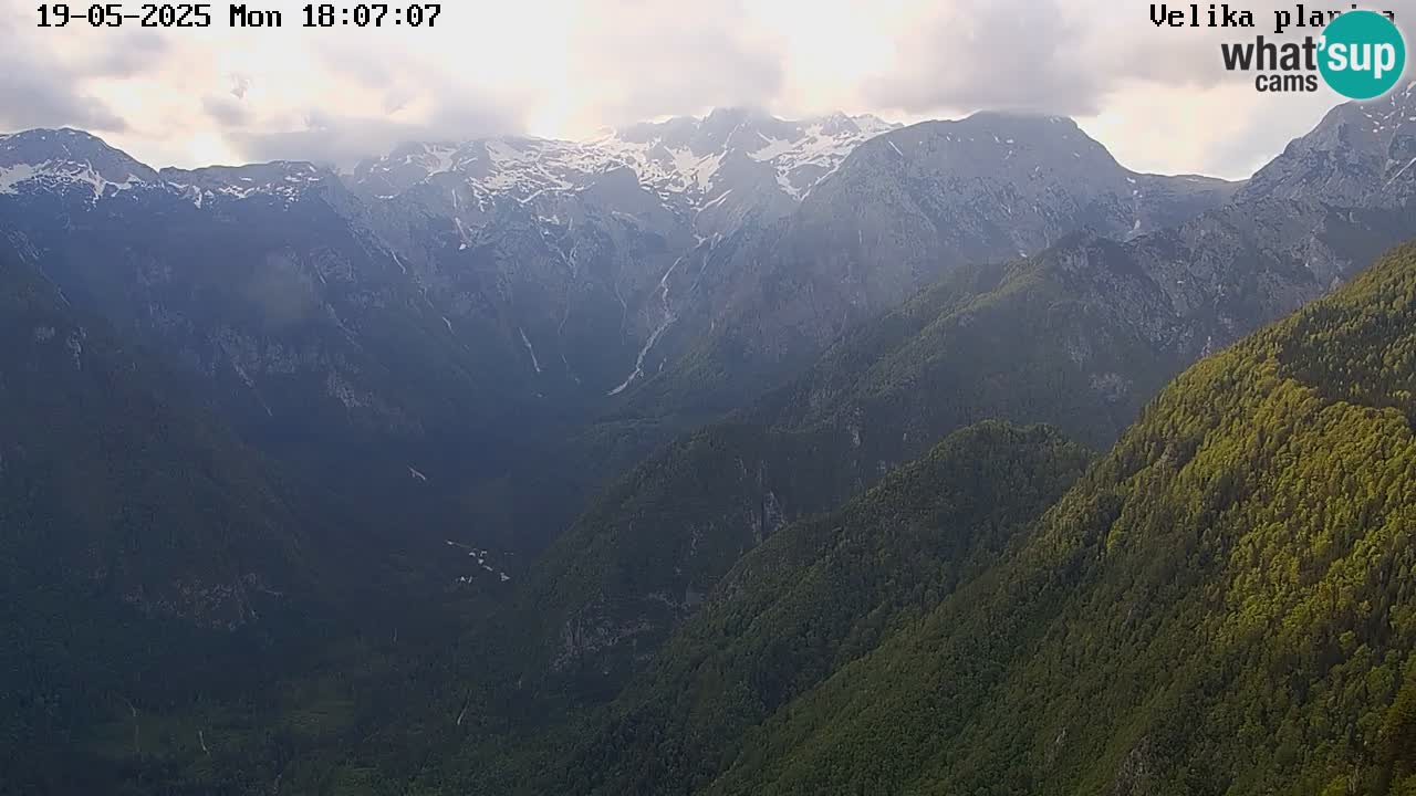 Velika Planina