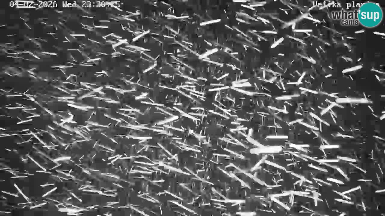 Dolina Kamniške Bistrice | Velika Planina web kamera