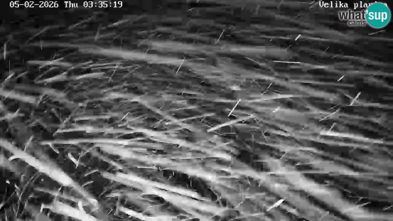 Kamniška-Bistrica Tals | Webcam Velika Planina