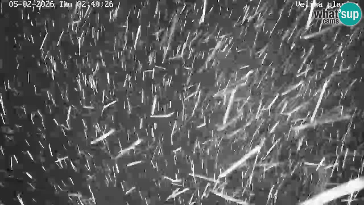 Valle Kamniška Bistrica | Webcam Velika Planina