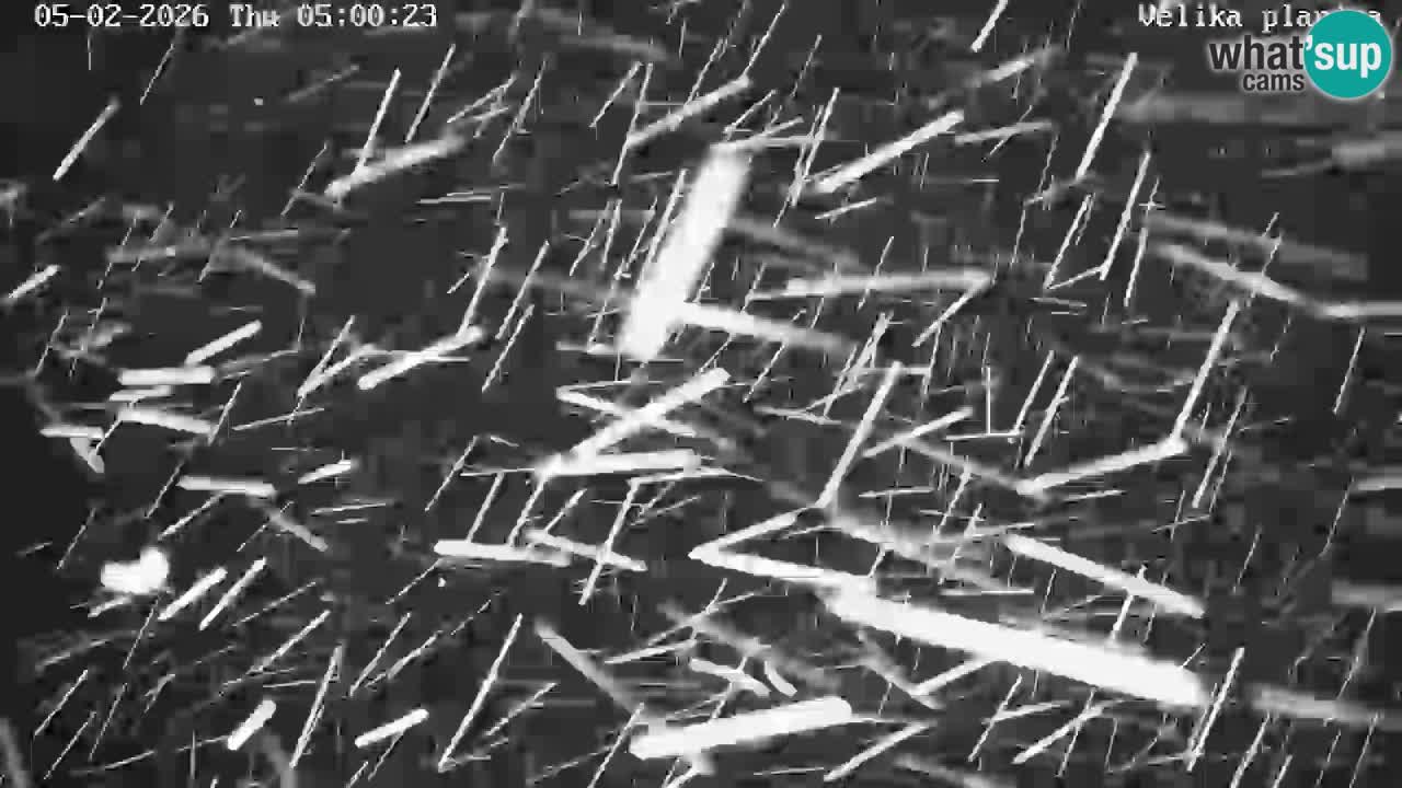 Vallée Kamniška Bistrica | webcam Velika Planina