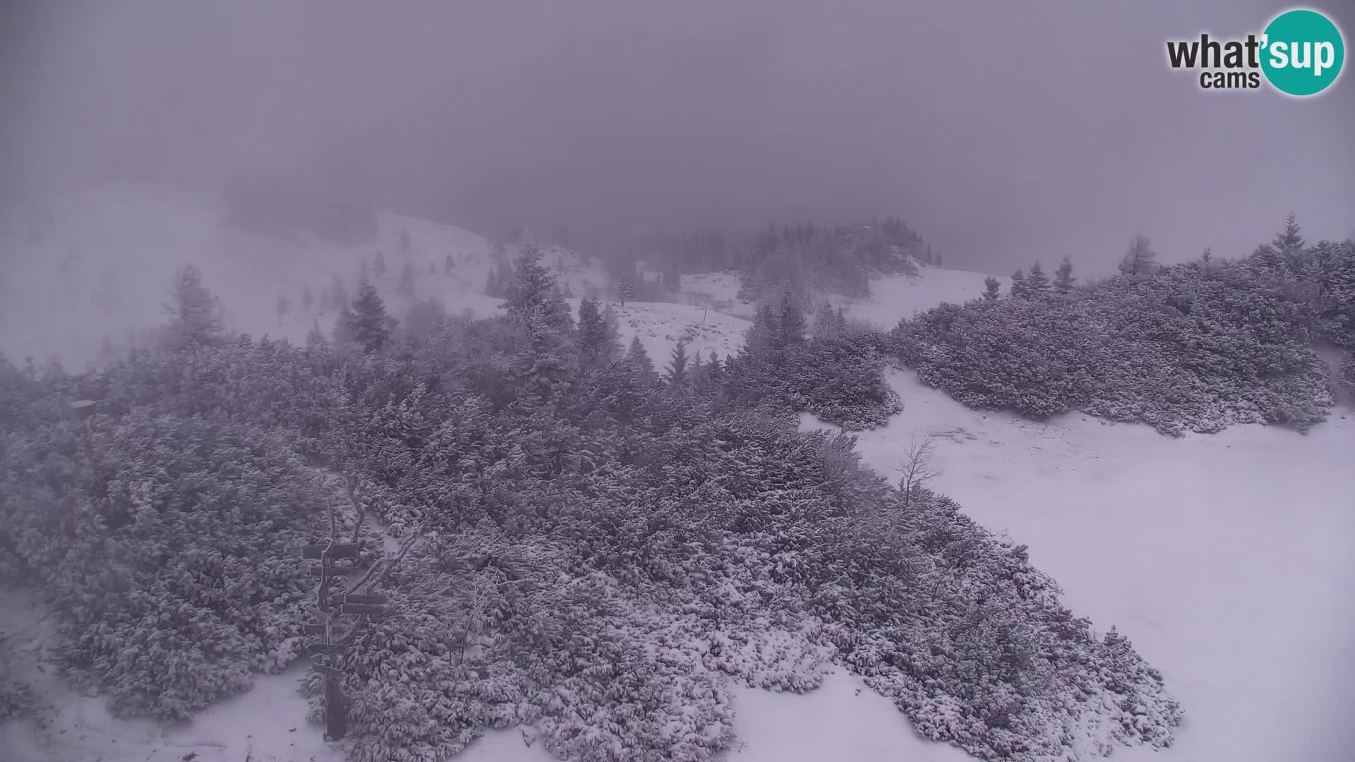 Velika Planina | Gradišče