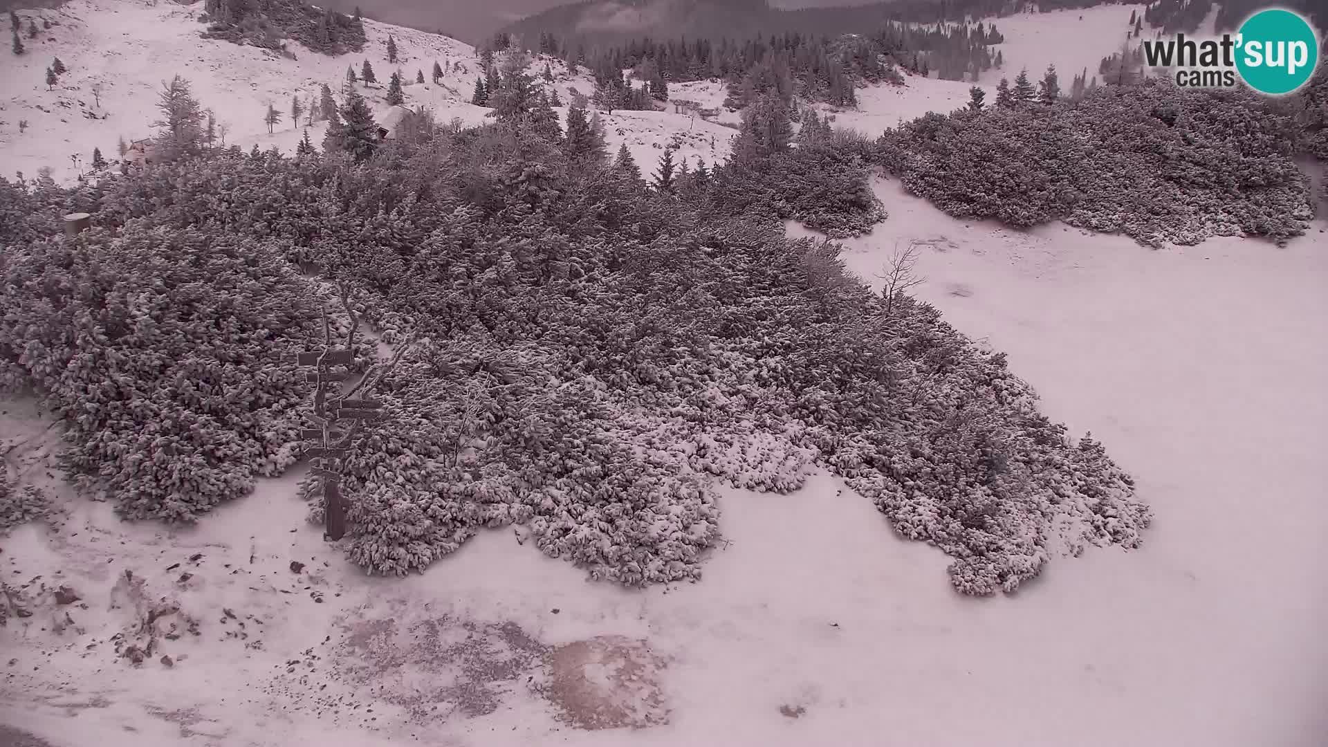 Velika Planina | Gradišče