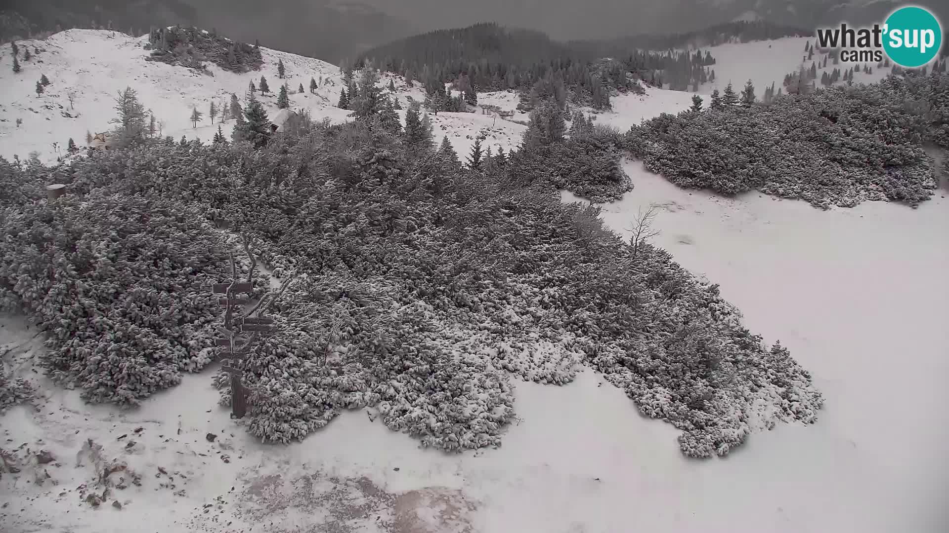 Velika Planina | Gradišče