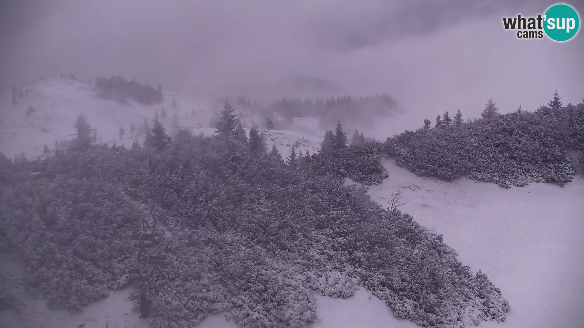 Velika Planina | Gradišče