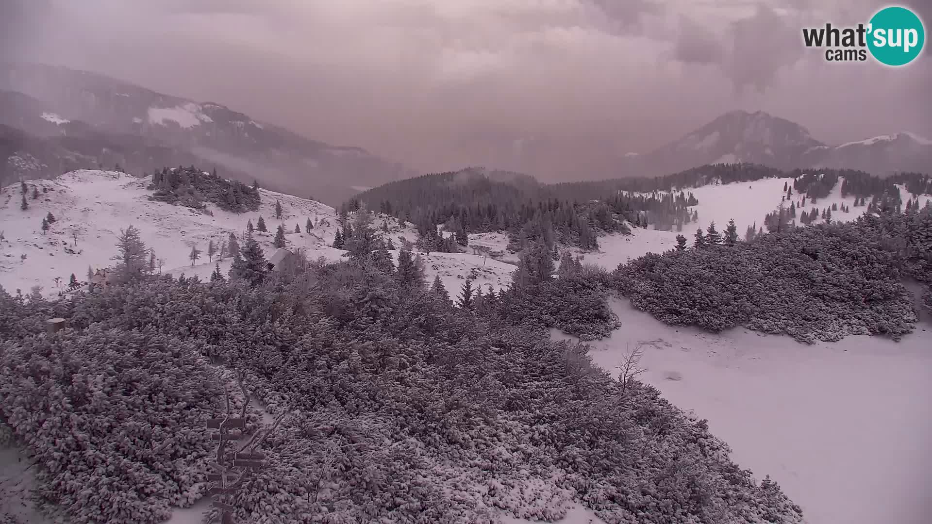 Velika Planina | Gradišče