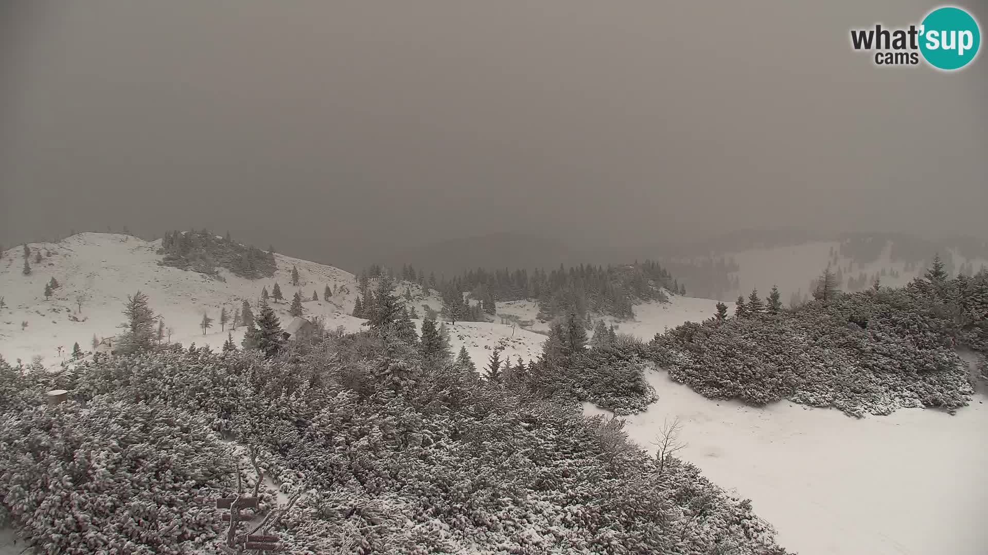 Velika Planina | Gradišče