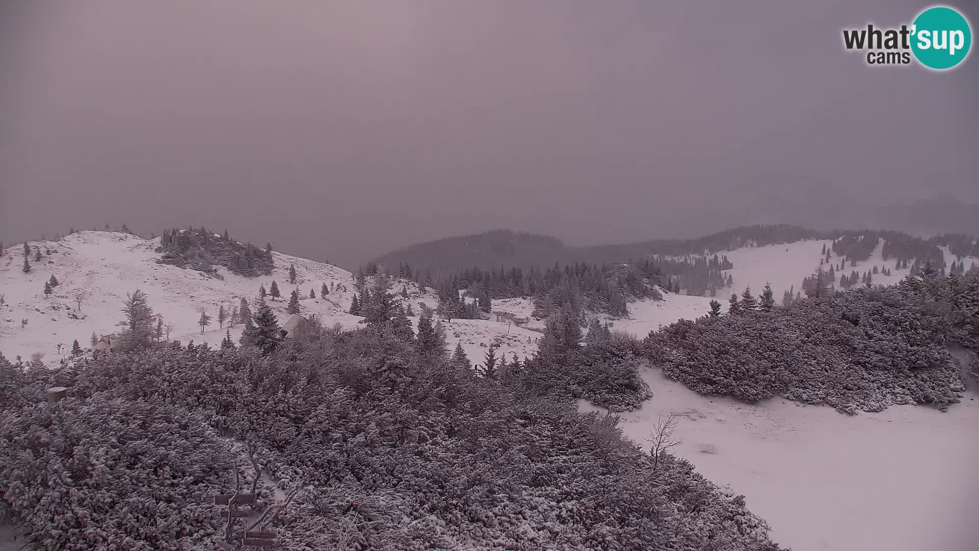 Velika Planina | Gradišče