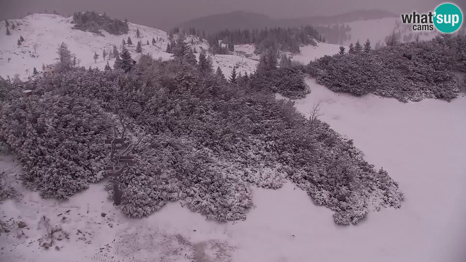 Velika Planina | Gradišče