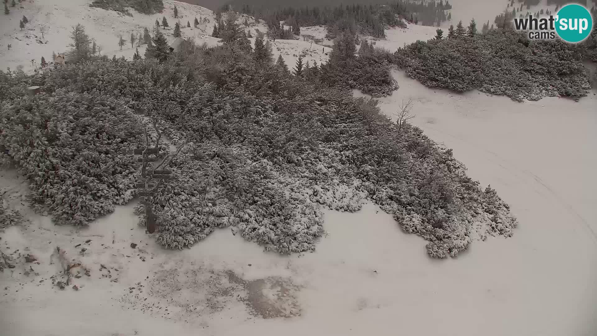 Velika Planina | Gradišče