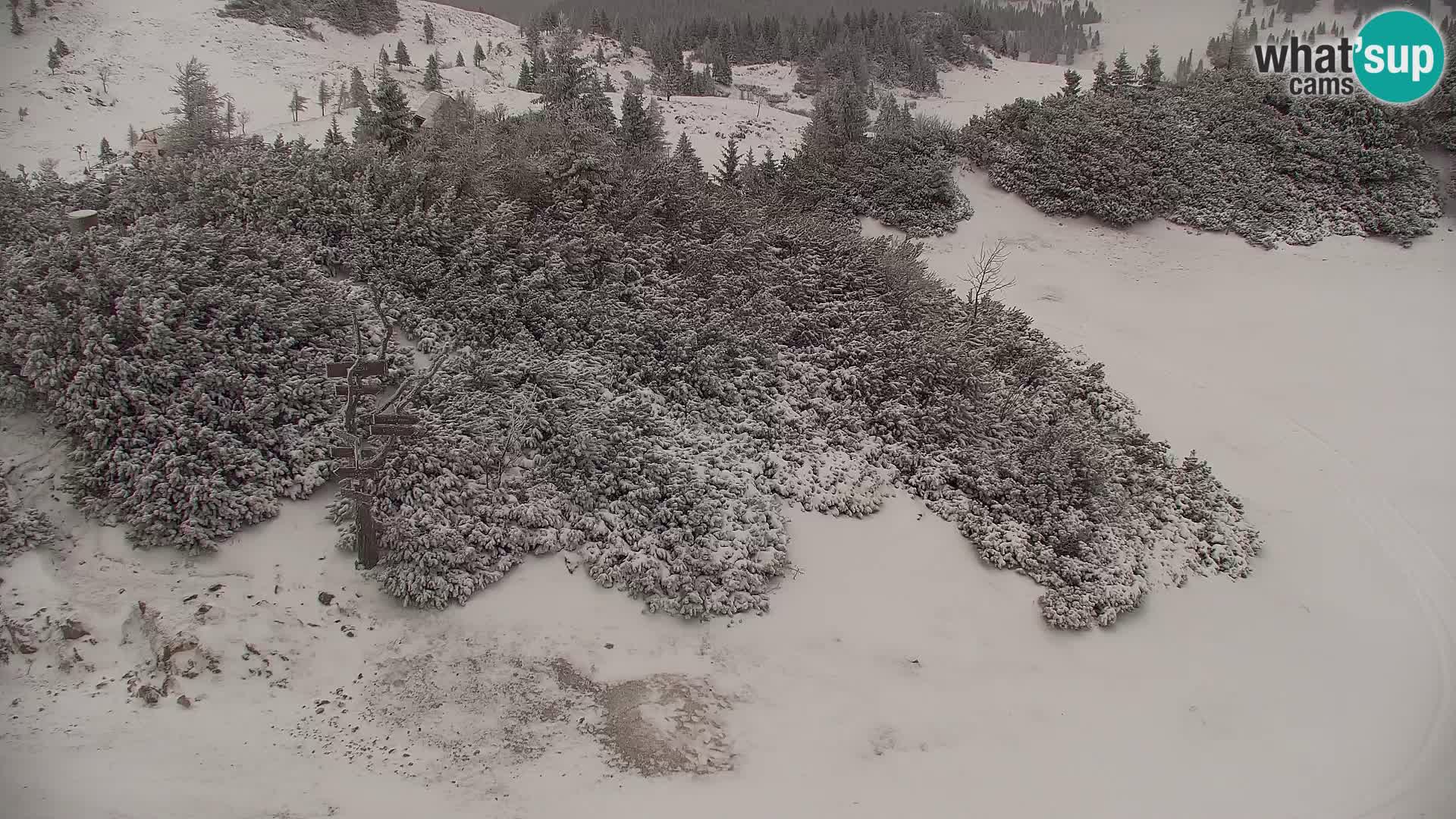 Velika Planina | Gradišče