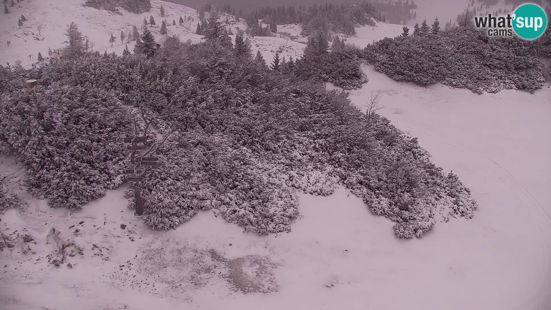 Velika Planina | Gradišče