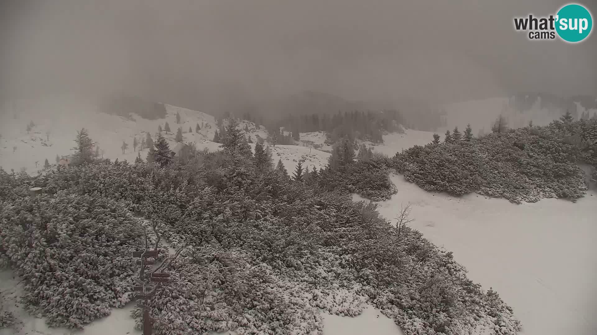 Velika Planina | Gradišče