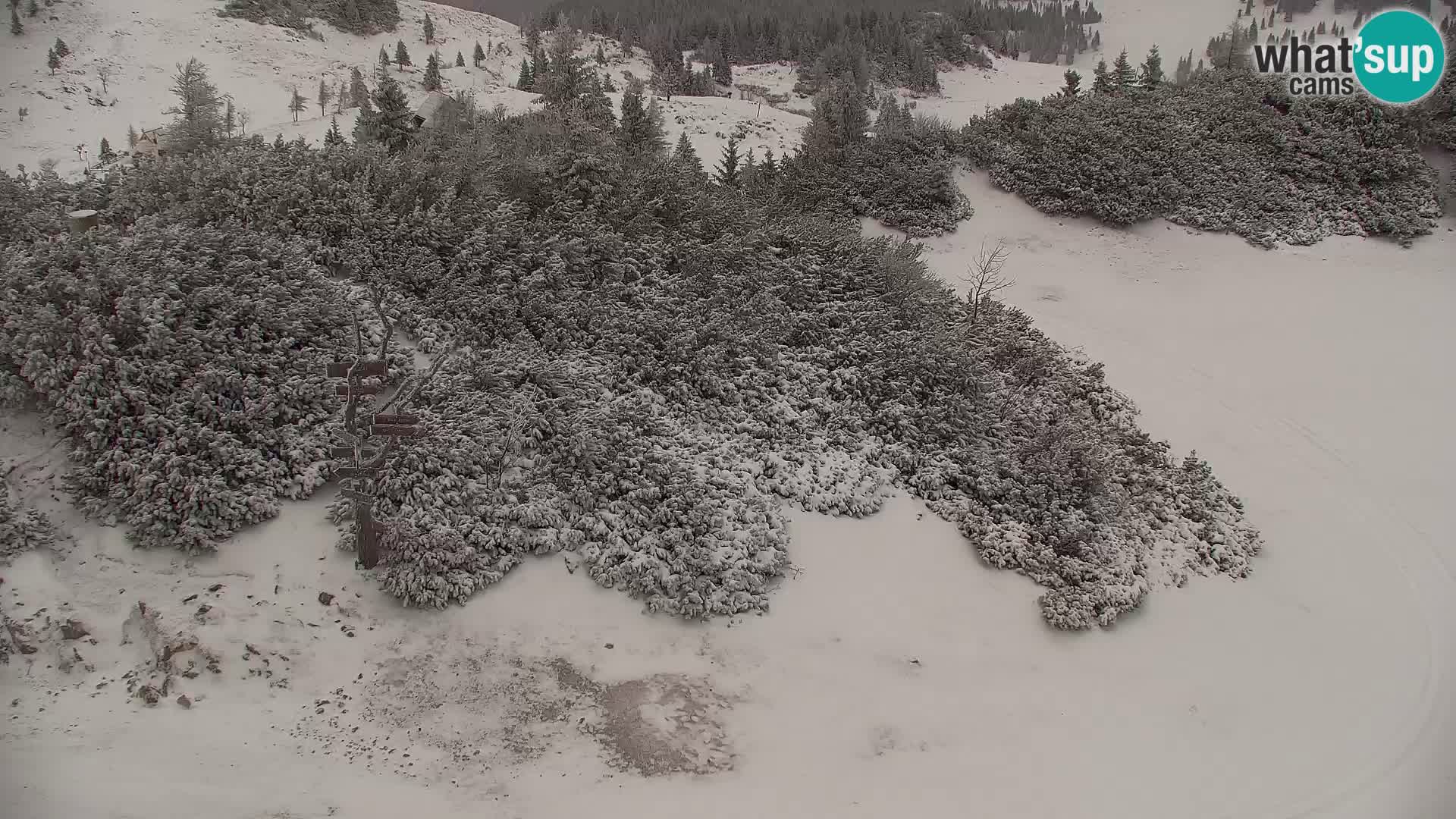 Velika Planina | Gradišče