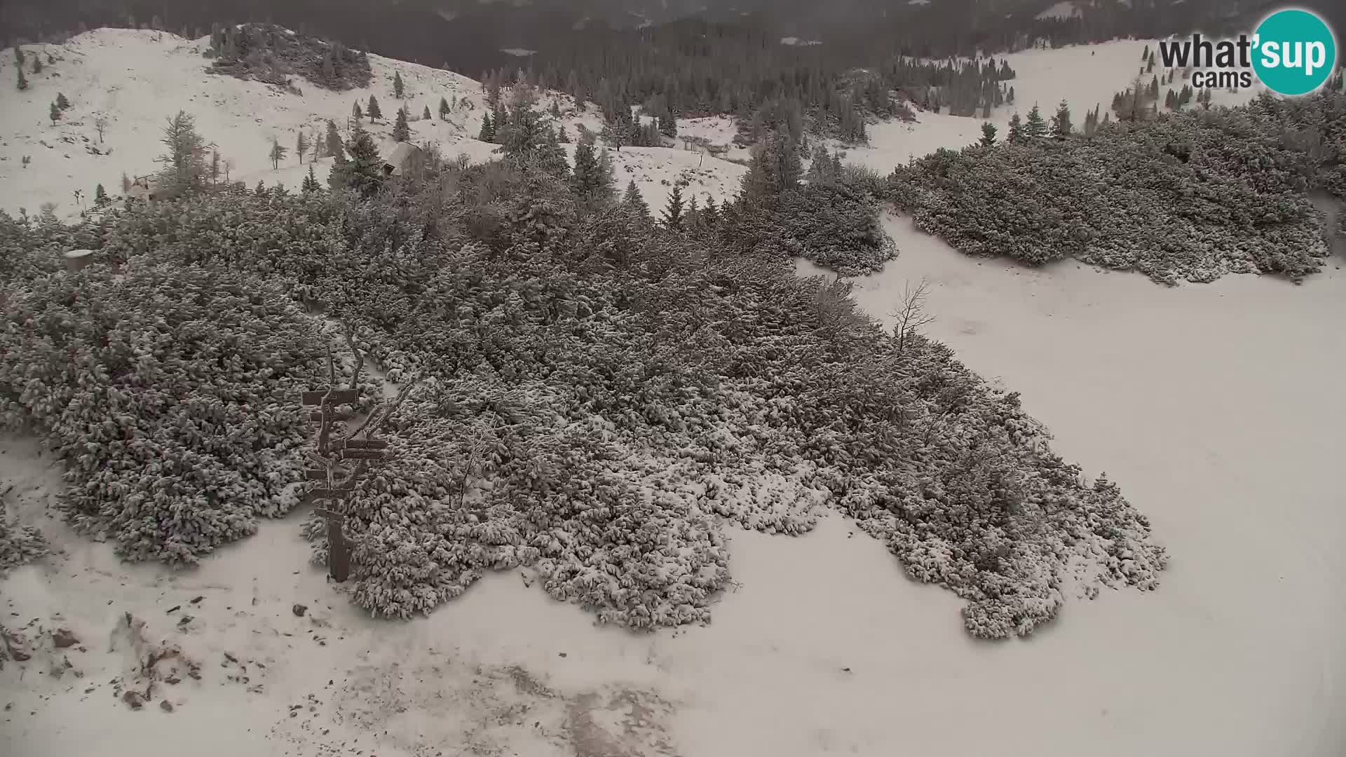 Velika Planina | Gradišče