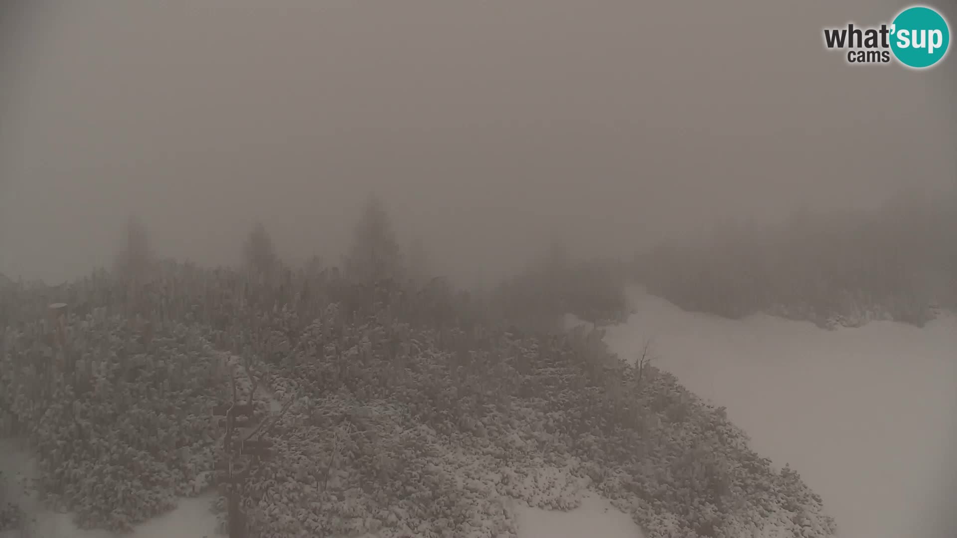 Velika Planina | Gradišče