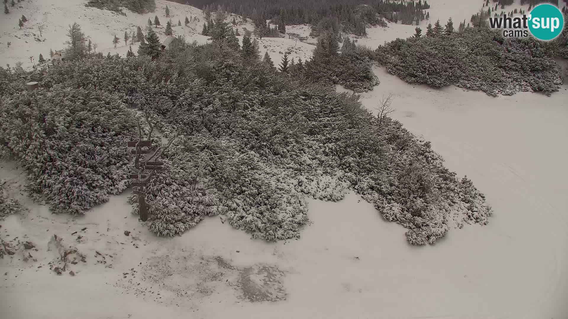 Velika Planina | Gradišče