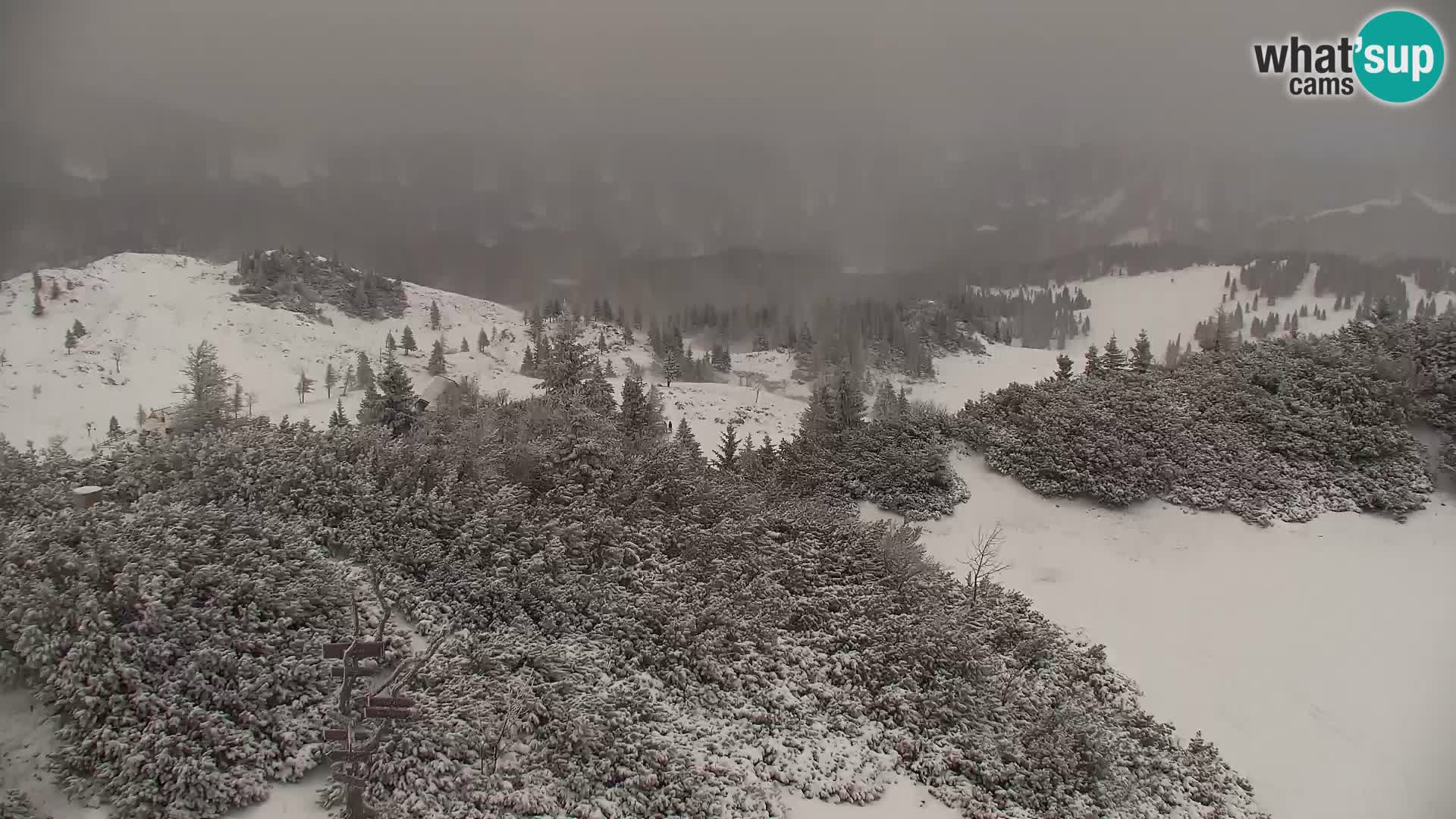 Velika Planina | Gradišče