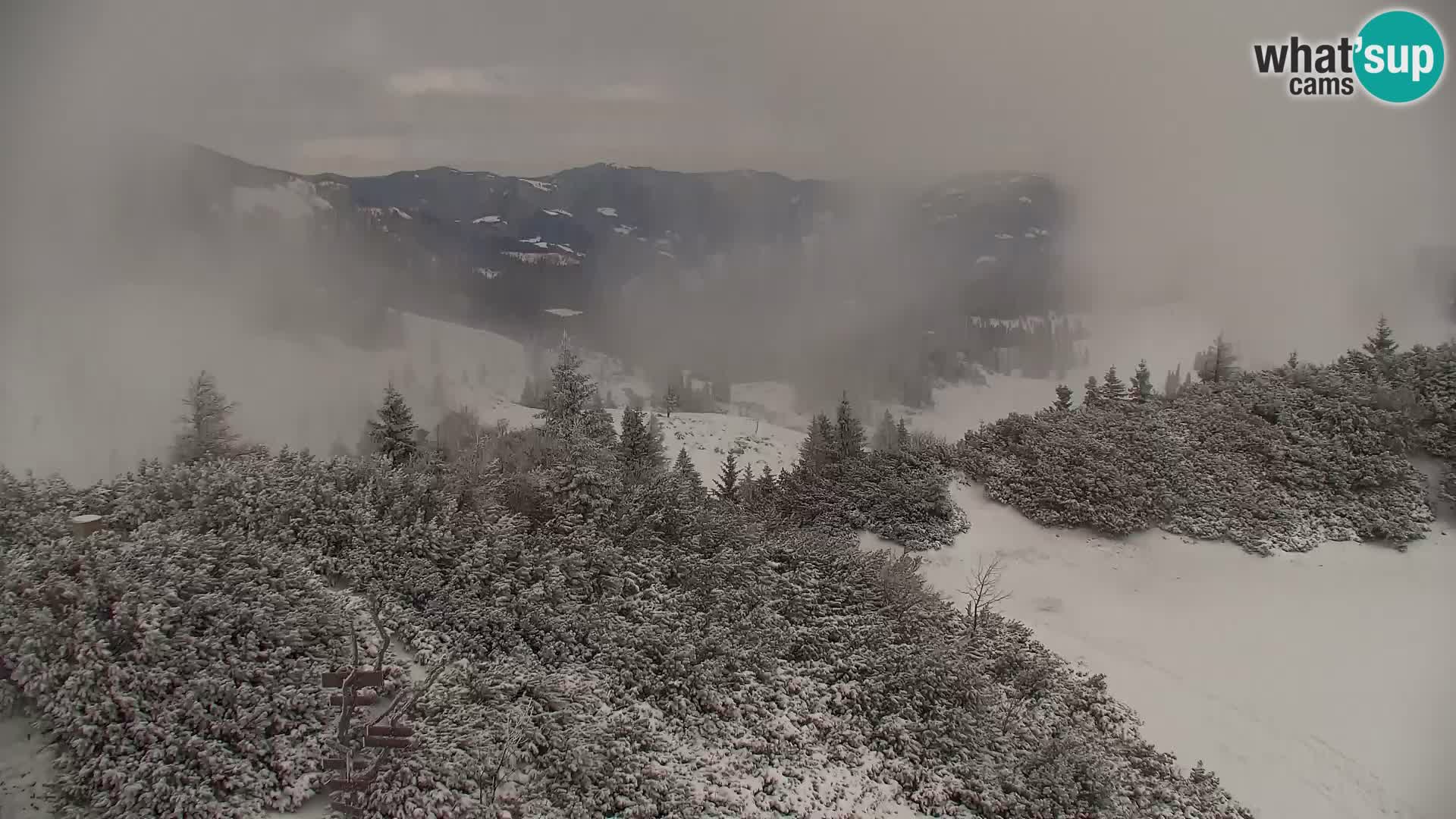 Velika Planina | Gradišče