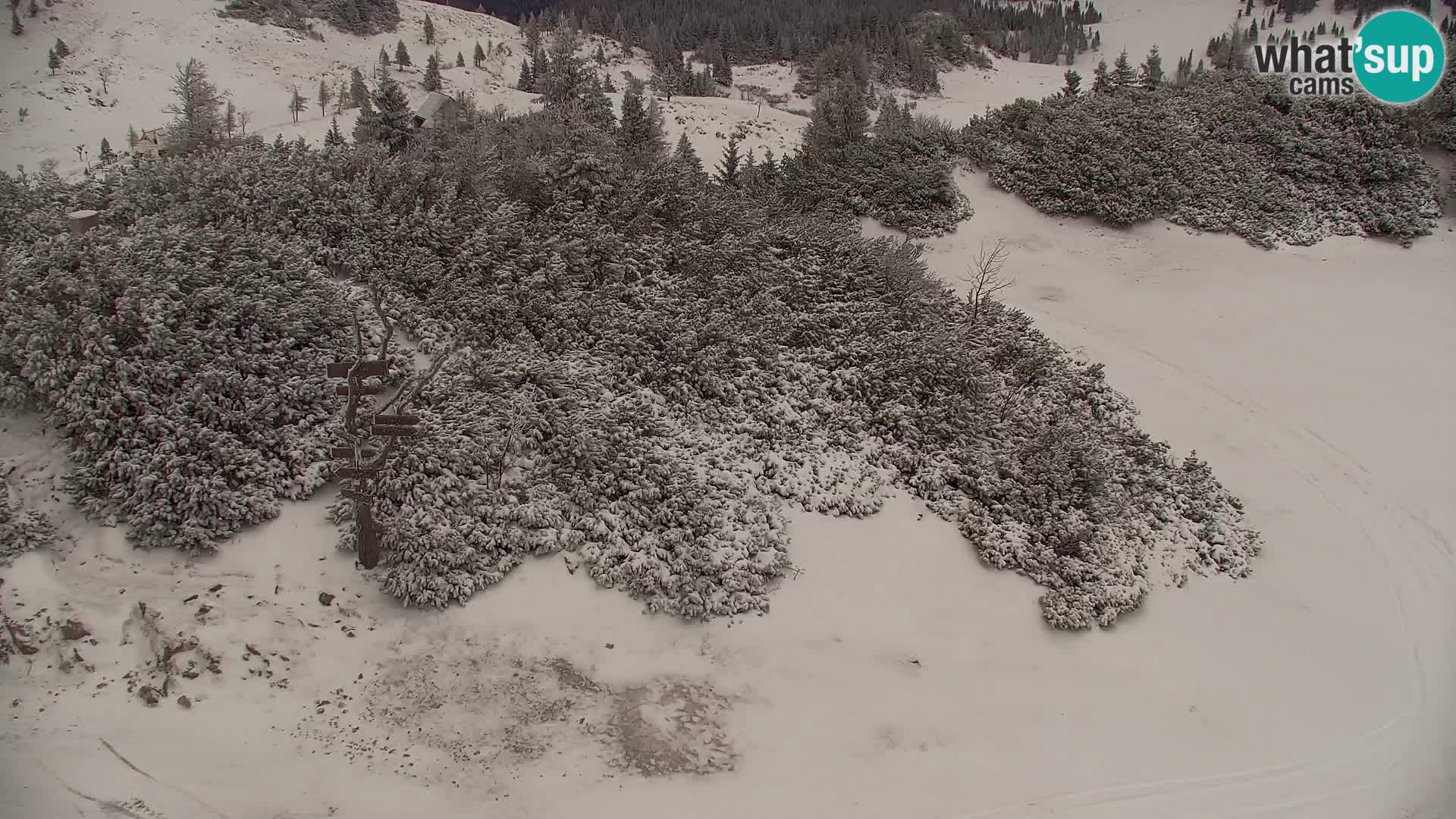 Velika Planina | Gradišče