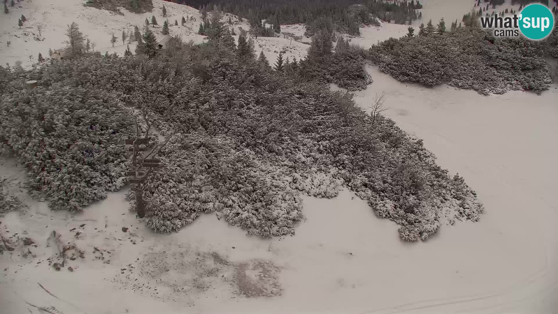 Velika Planina | Gradišče