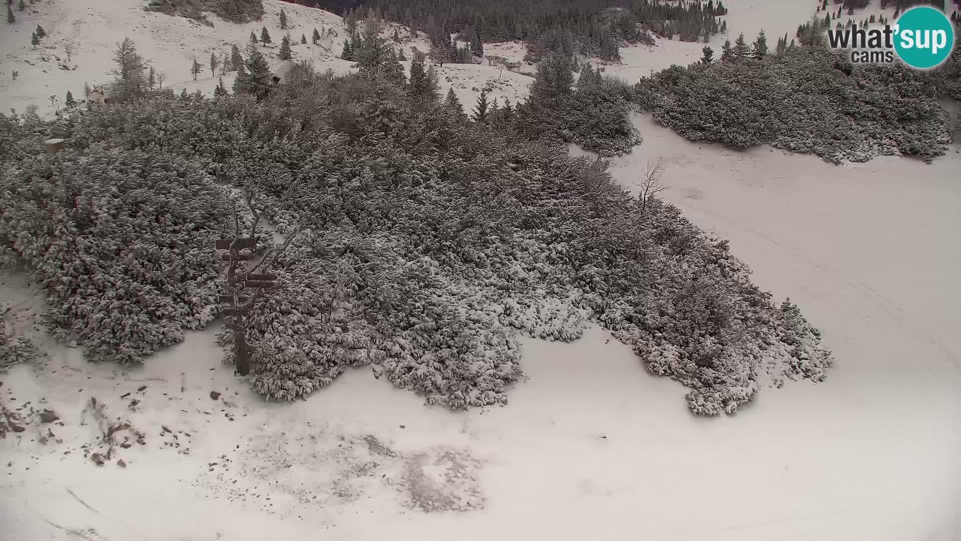 Velika Planina | Gradišče