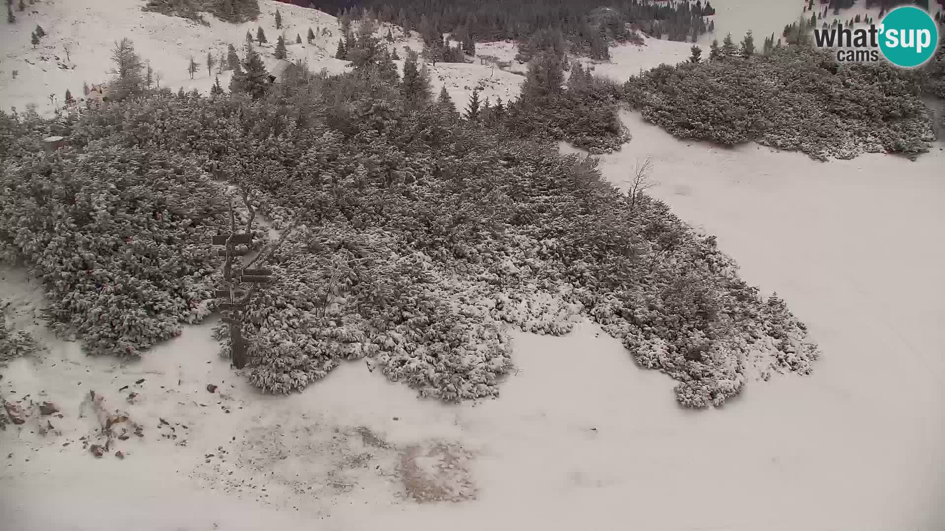 Velika Planina | Gradišče