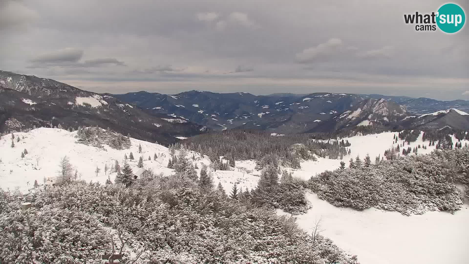 Velika Planina | Gradišče