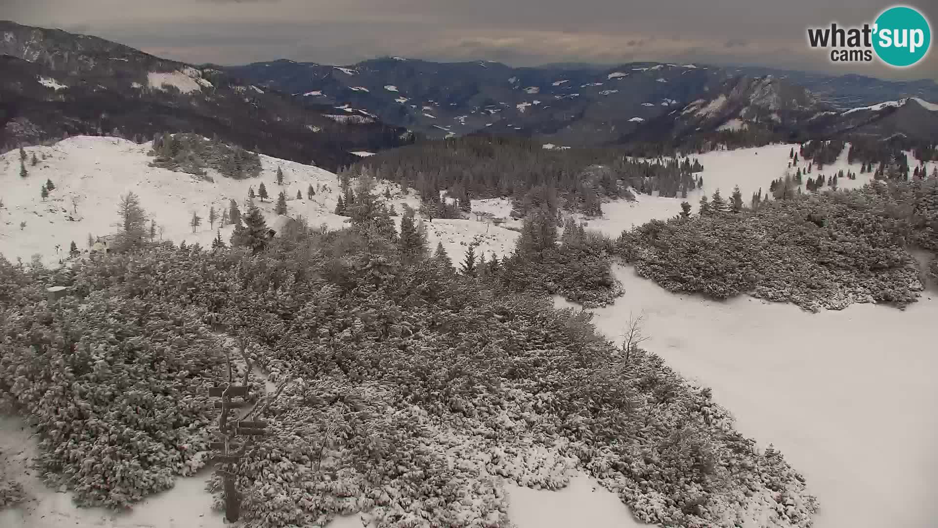 Velika Planina | Gradišče