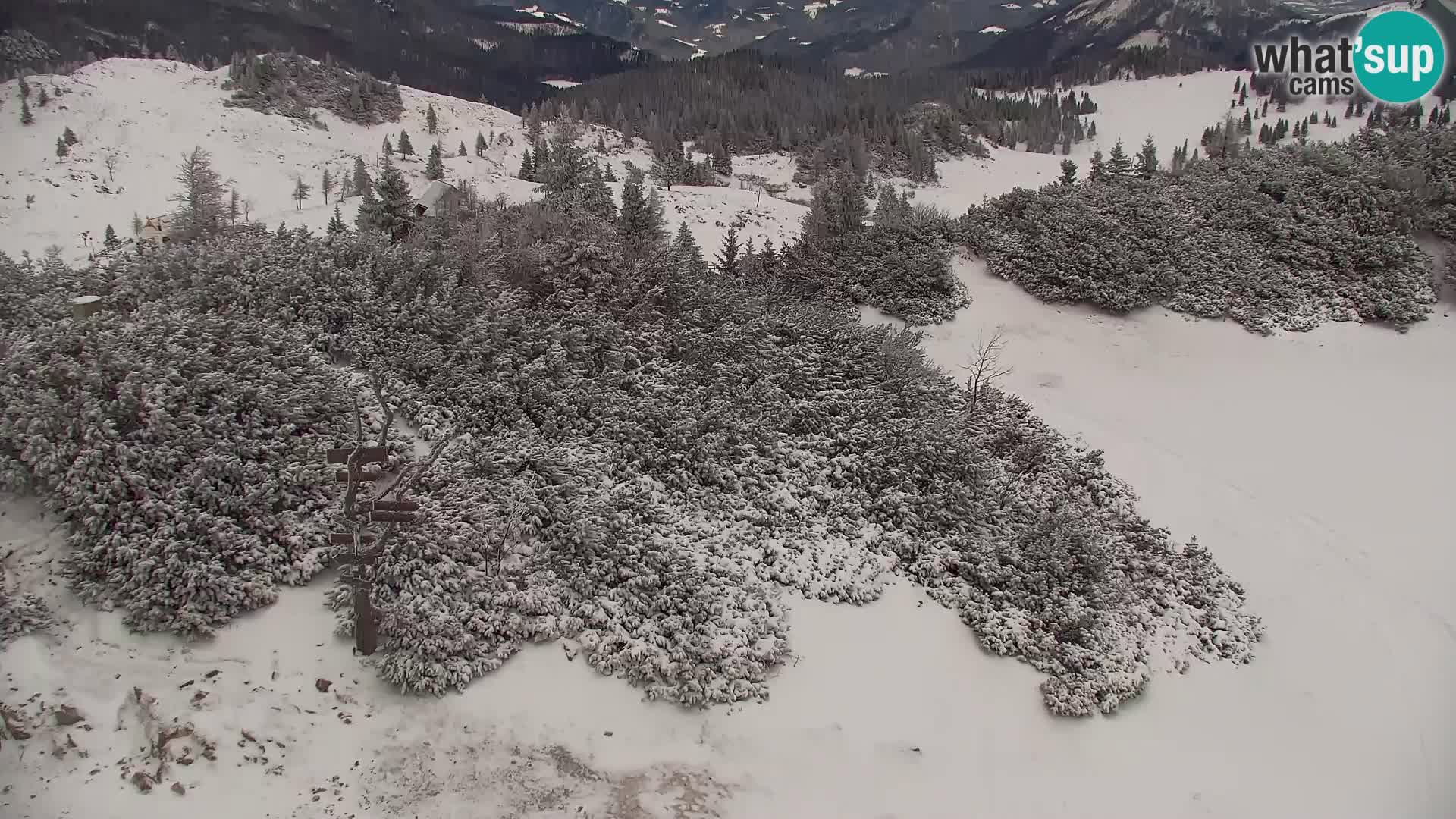 Velika Planina | Gradišče