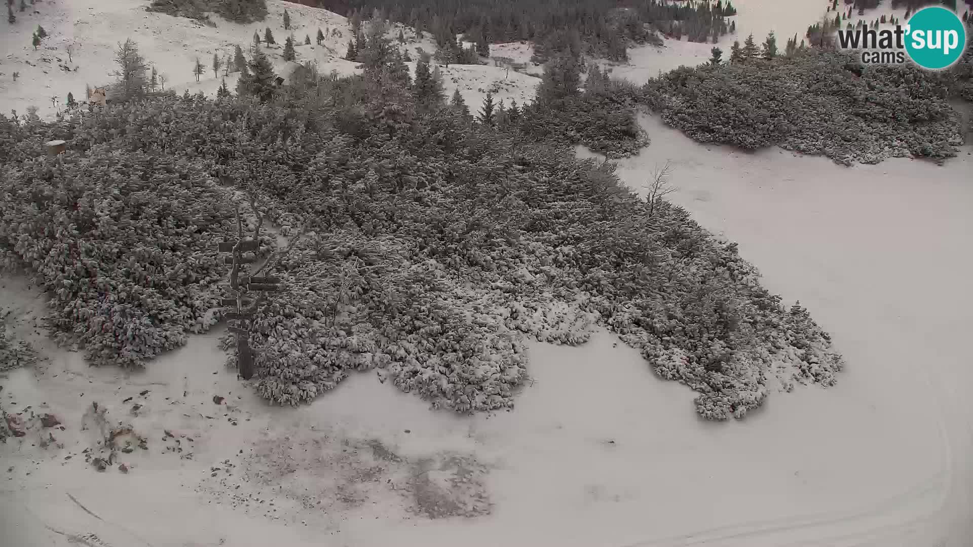 Velika Planina | Gradišče