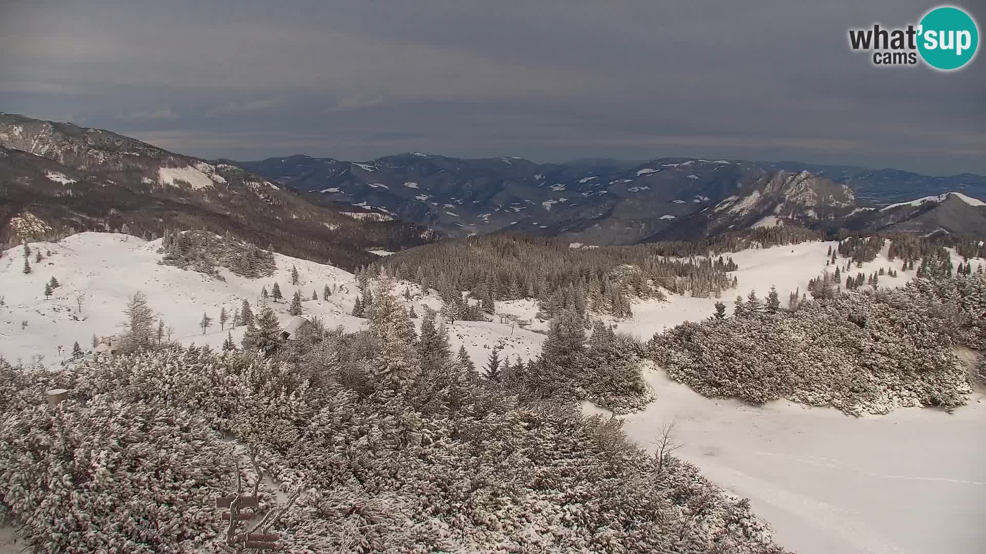 Velika Planina | Gradišče