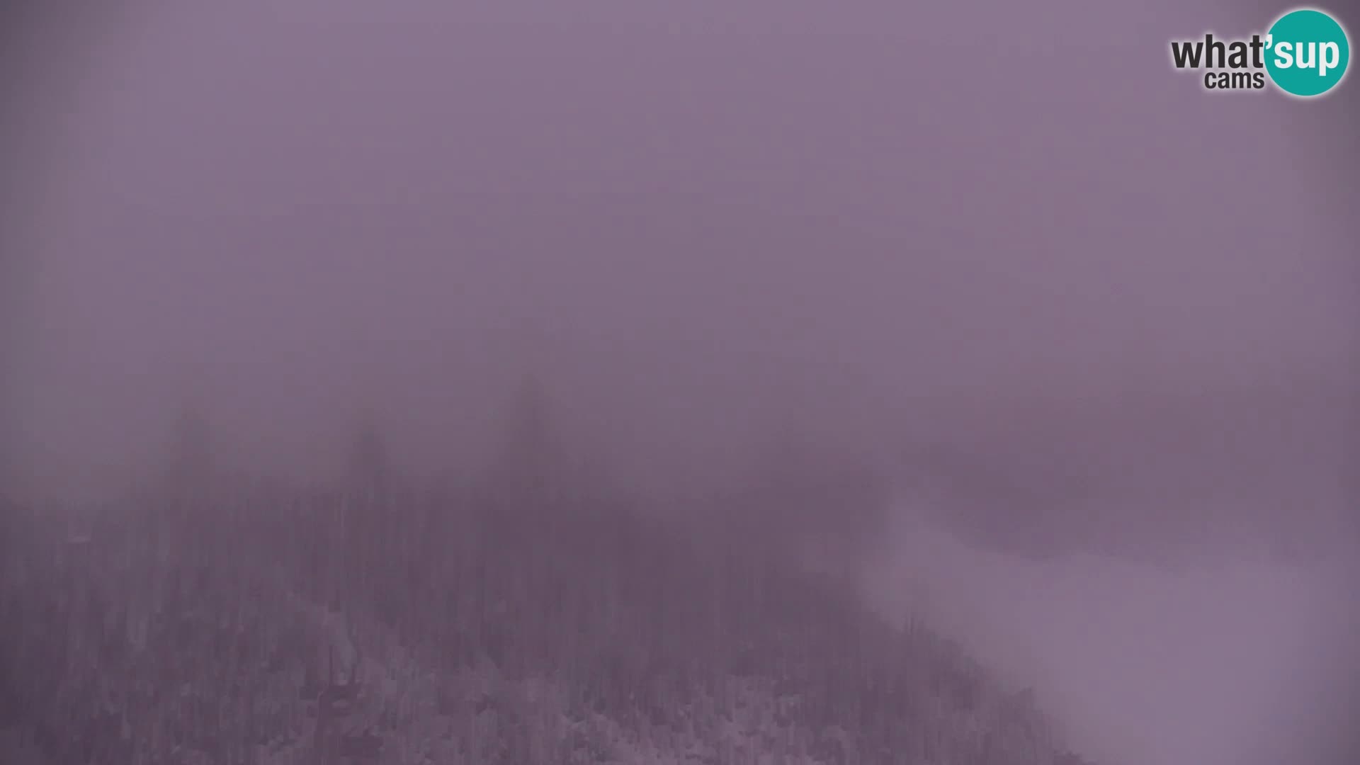 Velika Planina | Gradišče