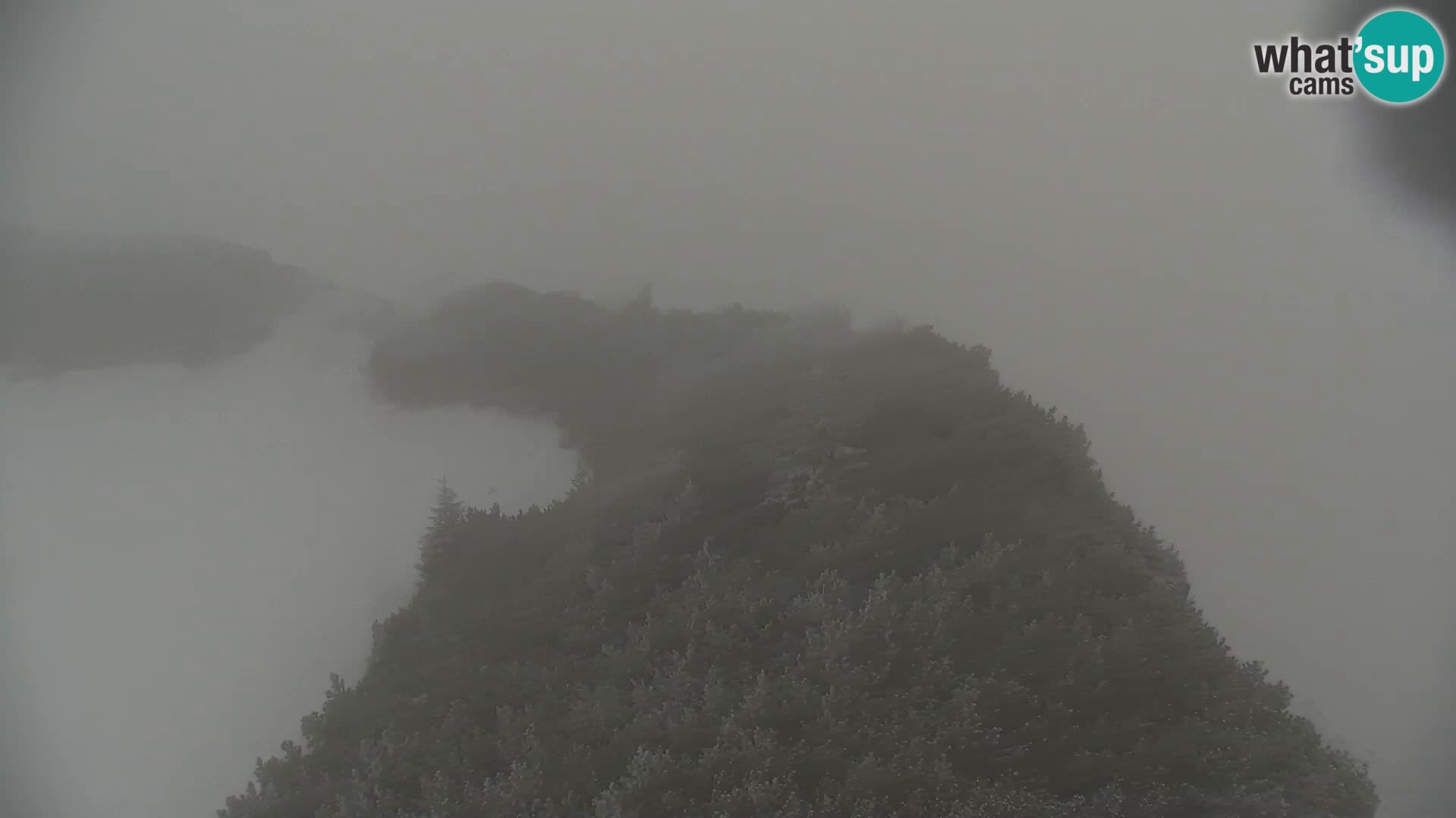 Velika Planina | Gradišče